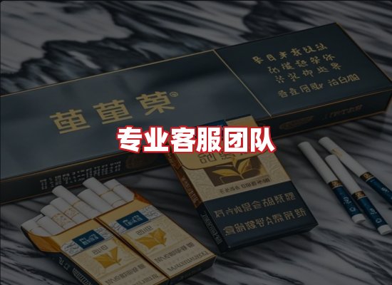 专业团队